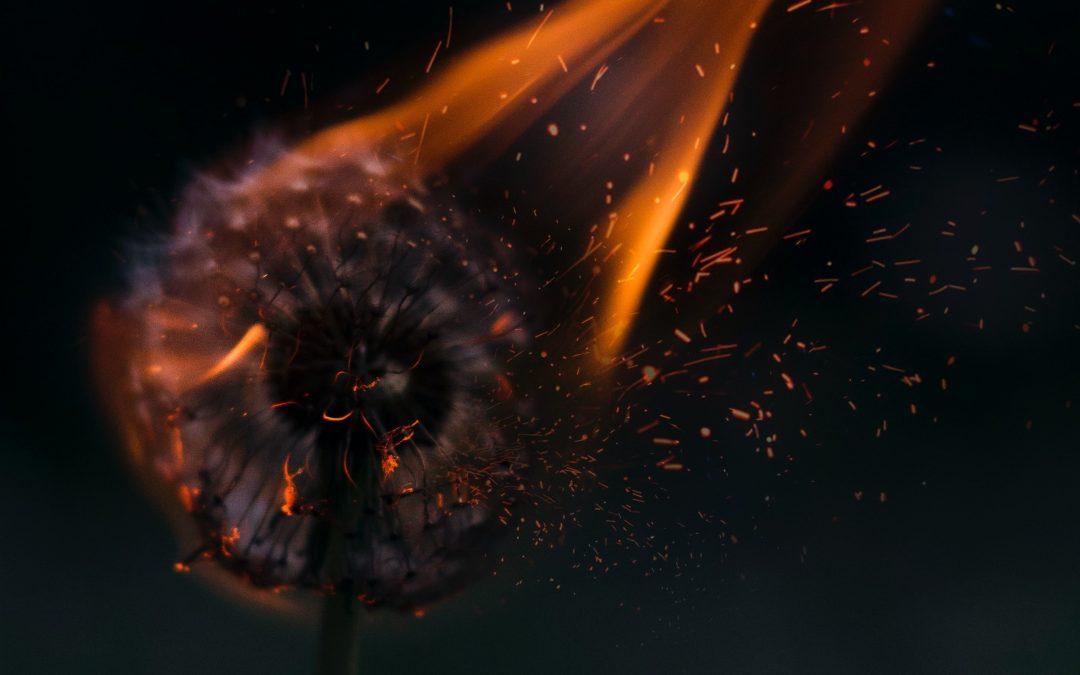 Remember Lot’s Wife – Salt Without Savour