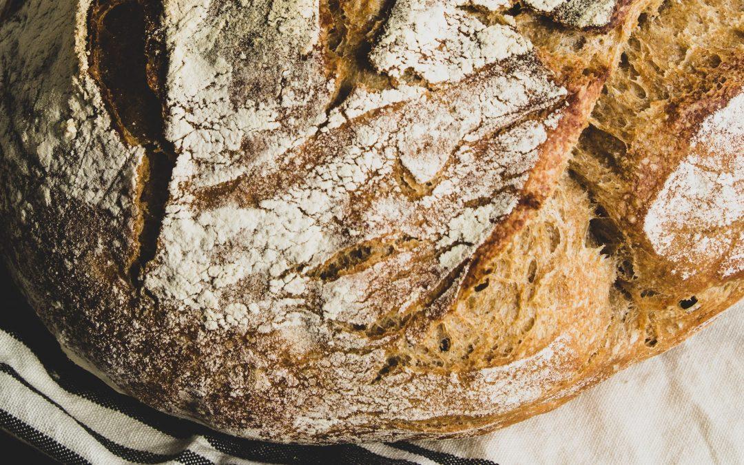 The Book Of Ruth Part 2 – The House Of Bread