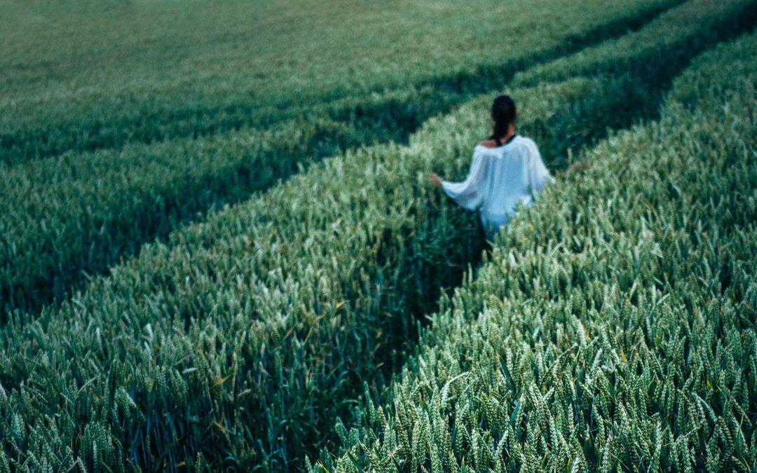 The Book Of Ruth Part 3 – One Girl’s Choice