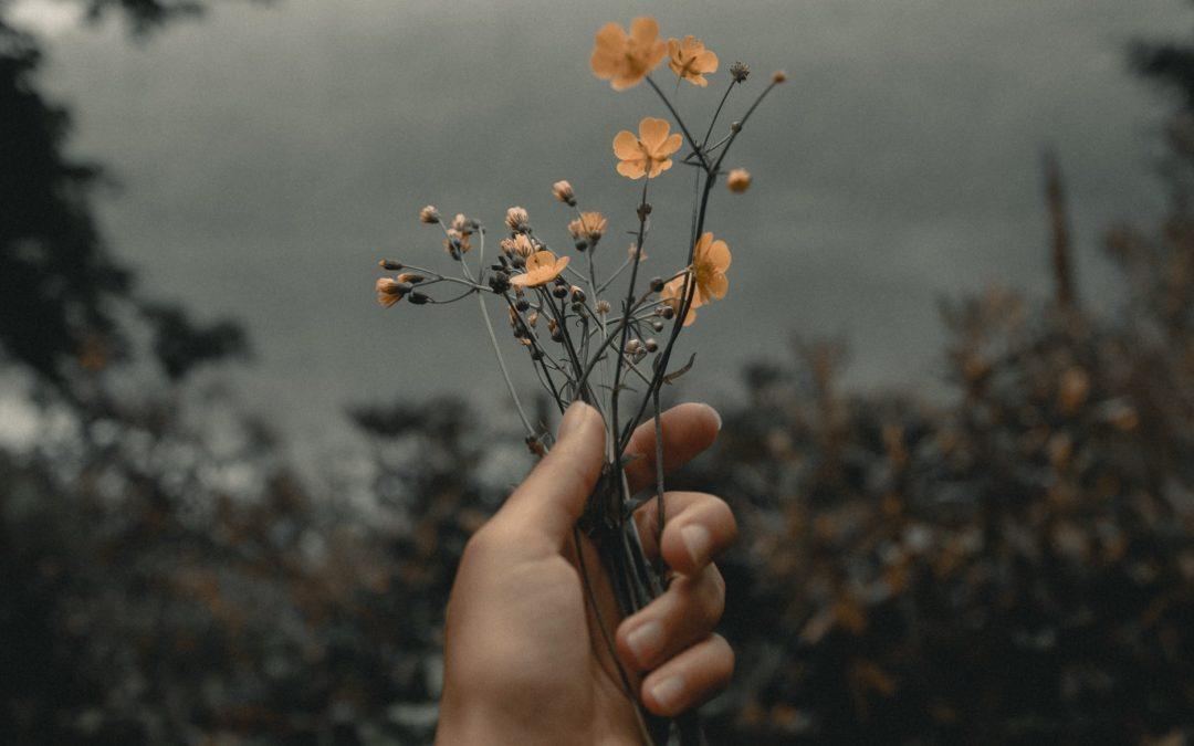 The Book Of Ruth Part 7 – The Redeemer’s Promise