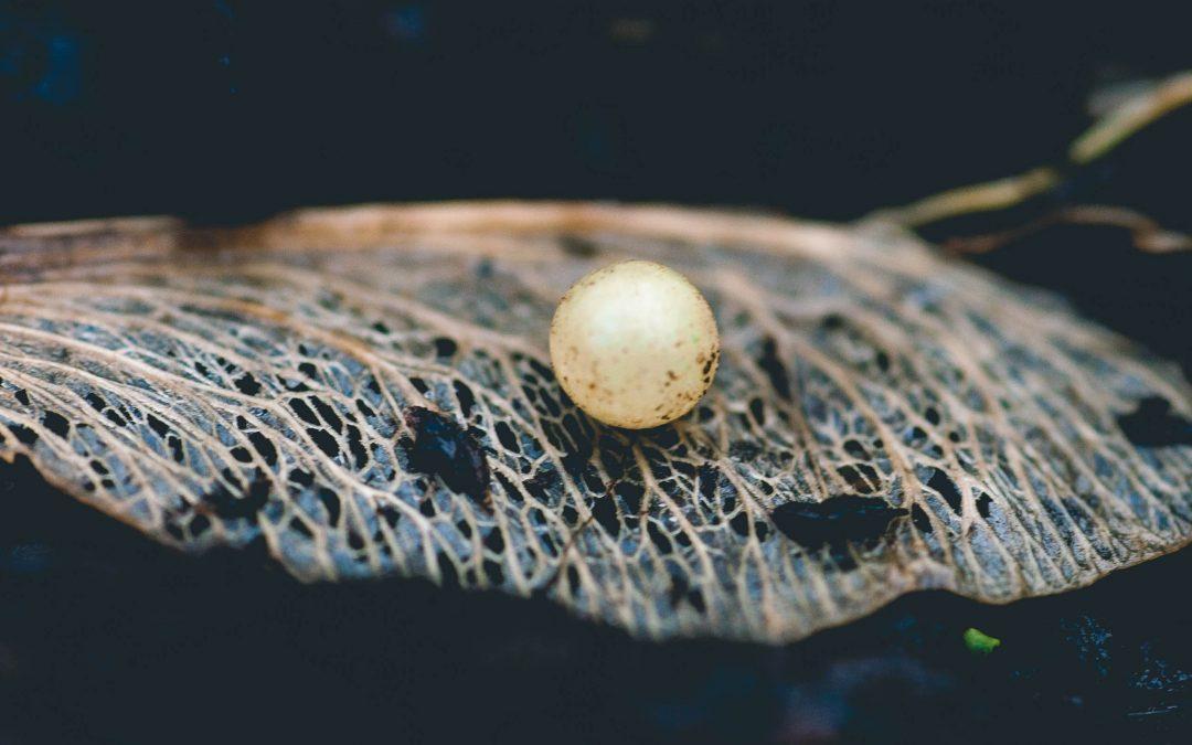 Sell Everything For This