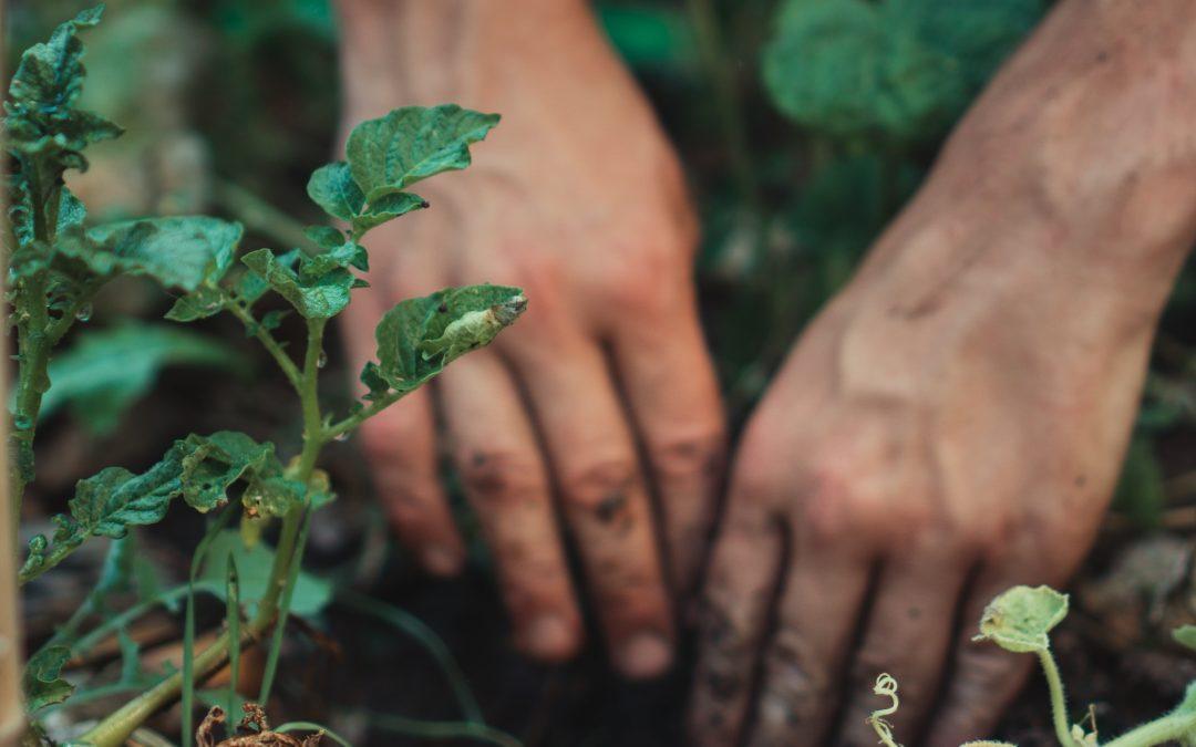 Take Action – Cultivating The Mind Of Christ