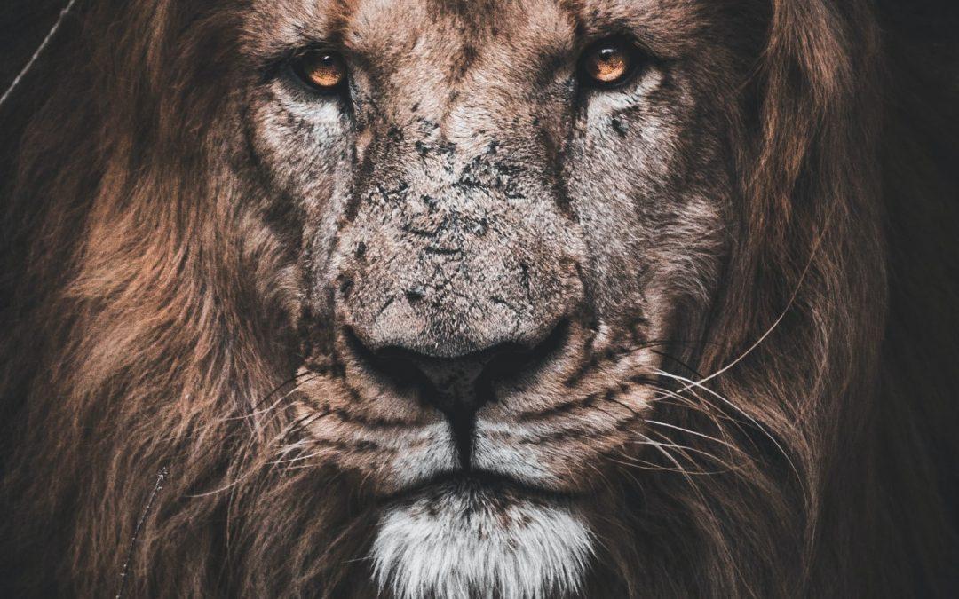 Winter ’22 Retreat Part 3 – Knowing The Power Of God