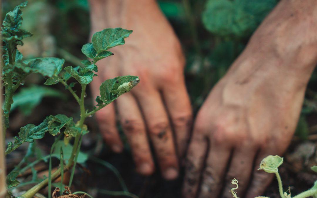 Take Action – Cultivating The Mind Of Christ