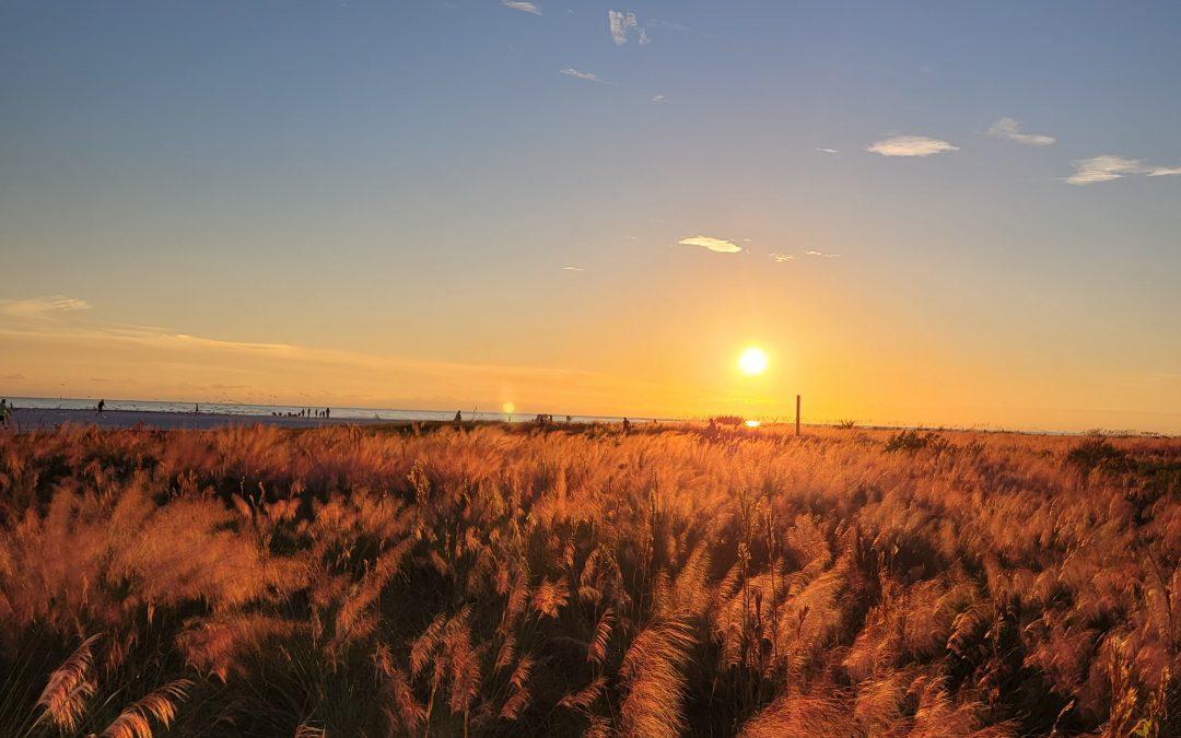 The Book Of Ruth Part 2 – The House Of Bread